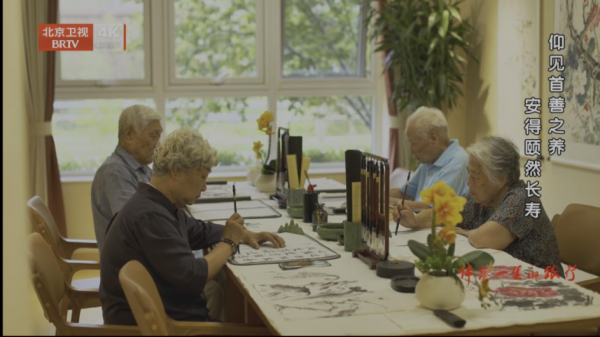 窗前那棵柿子树——我眼中的“十五五”养老温度